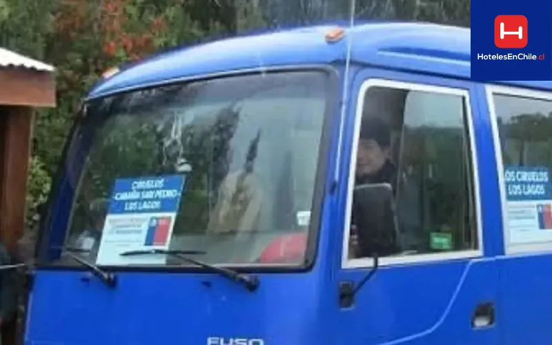 bus_11zon