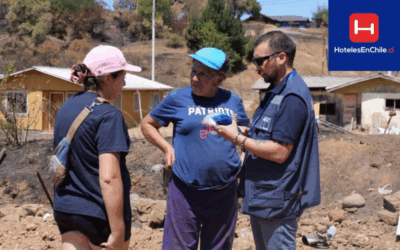 Autoridades informan avances en apoyo y reconstrucción tras incendios forestales en Ñuble