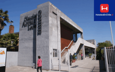Museo Claudio Arrau realizará jornada solidaria para familias afectadas por incendios forestales