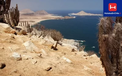 Norte de Chile sorprende con sus paisajes