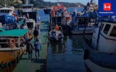 Nuevas carreras navales en Los Lagos