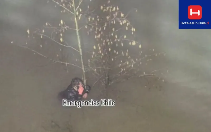 NOTICIA_11zon.webp 2