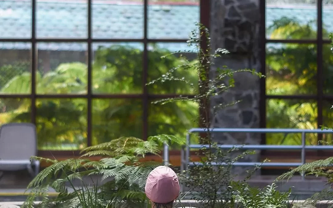 Termas del sur: relax natural