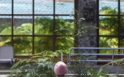 Termas del sur: relax natural