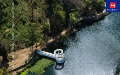 Jardín Botánico renace y vuelve a florecer