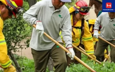 9.480 empleos contra incendios