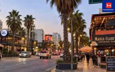 Ruta de Tragos y Tapas llega a Viña del Mar