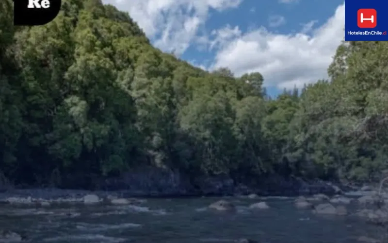 D3_11zon