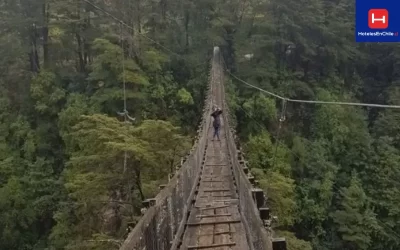 Puente La Basa